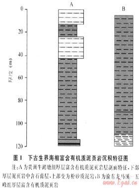 我國(guó)富含有機(jī)質(zhì)泥頁(yè)巖發(fā)育特點(diǎn)與頁(yè)巖氣戰(zhàn)略選區(qū)