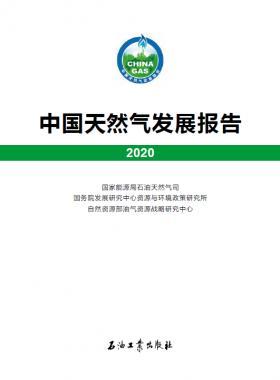 2020中國天然氣發(fā)展報告（含2017、2018、2019、2020）